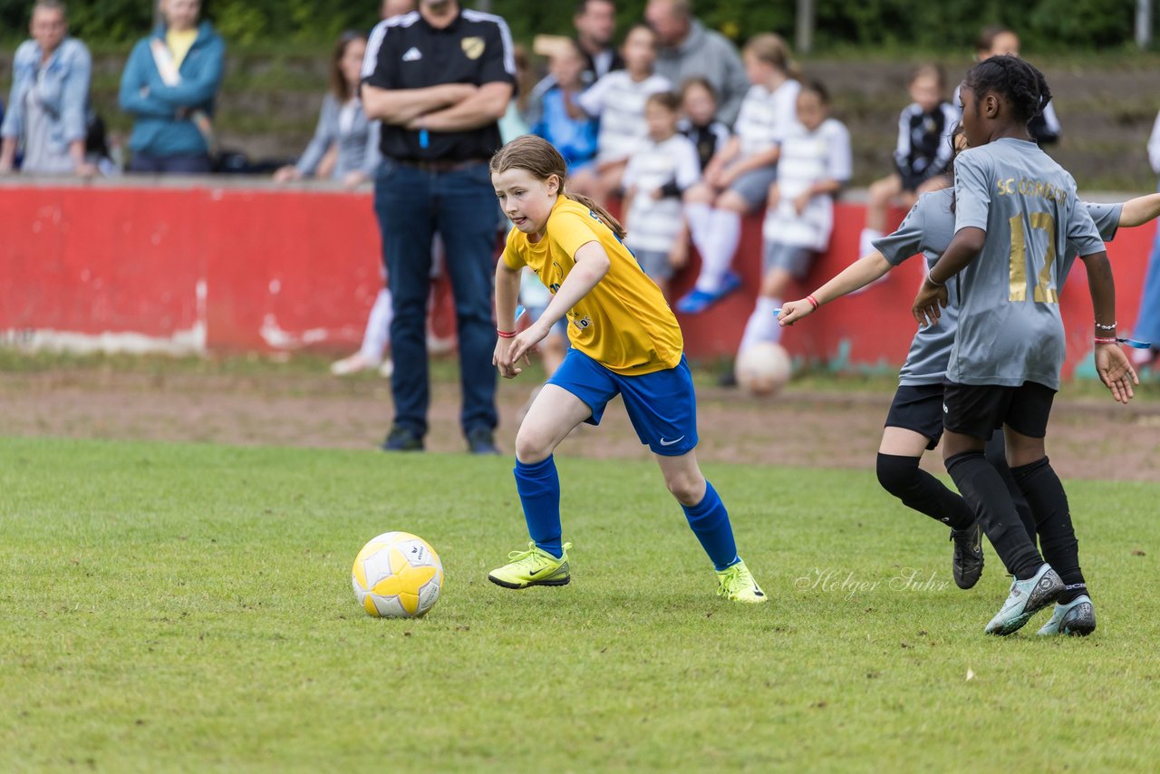 Bild 595 - Loewinnen Cup